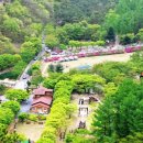 고산자연휴양림 캐라반 입구 이미지