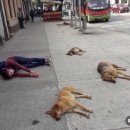 CU전주평화우미점 | 2025 연말결산