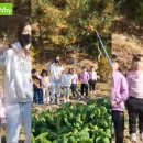 솔밭왓앤와이 영재유치원 이미지