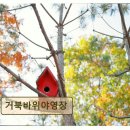 토토큰바위 야영장 | 양평 캠핑장 추천 거북바위야영장 조용히 쉬기 좋은 캠핑장