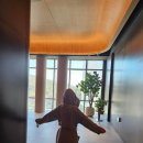 A Spirit of Journey(에이 스피릿 오브 저니) 이미지