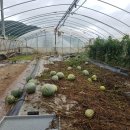 쌍책면사무소 이미지