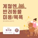계절엔동물의료센터 미용실 이미지
