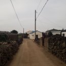 무릉리-5 이미지