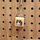 캣츠호텔 | 방탈출(강남 무비무드 - Cat&#39;s lock 캣츠락)