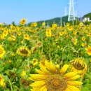 대부도해양본부 이미지