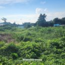 토평공업단지2 | 서귀포 토평동, 한라산과 바다가 한눈에! 토평공업단지 인접 개발용지(1,214P)