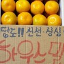 인하청과