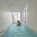 브레스테이킹A.B | 도도네 X 경주 브레스테이킹