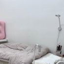 솜이랑 | [영통 속눈썹] 솜이네에서 유지력 좋은 롱데이래쉬펌 받고 온 후기