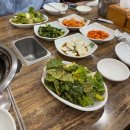 [대구 서구 맛집] 몸보신 제대로 한 &#39;홍도능이백숙&#39; 한방 모듬버섯 오리백숙 후기