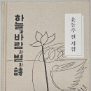 윤동주----- 詩모음 이미지