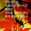 동남식당 이미지