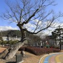 서부리 삼층석탑(西部里 三層石塔) 이미지