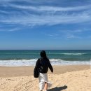 109기 너굴입니다 이미지