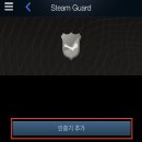 스팀가드