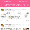 늘품과일