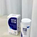 케이티알파 | 식후 루틴으로 챙기는 VIVO 알파CD 영양제 알파츄어블 후기