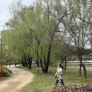 준경목장 | 알차게 보낸 반차데이: 난지천공원, 오에프알, 계경목장, 아키비스트 서촌