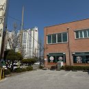 대동목장 | 강릉 주문진 막국수 맛집 대동면옥 본점에서 수육과 함께 내돈내산 후기