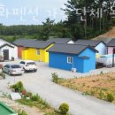 수선화펜션가족단체독채갯벌체험 | 태안해루질펜션 수선화펜션 가족 단체 독채 갯벌체험 수영장 태안조개잡이펜션 맛조개잡는곳 포인트