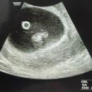 프라우삼성산부인과의원 이미지