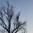 산들바람 이미지