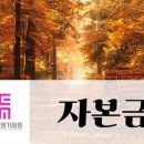 숲길법인 이미지