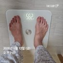 수정-54 | 다이어트] 드디어 54kg대 진입! 앞자리 바꾸기 대성공...기록, 부작용, 단식 루틴 수정, 처방 가격 변화)