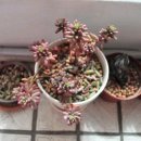 은설농장 이미지