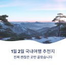 청송목장 | 1월 2월 국내여행 추천지 진짜 괜찮은 곳 추천