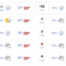 부산썬의원 이미지
