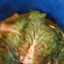 동해메밀막국수 이미지