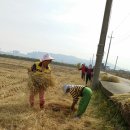 신평마을 이미지