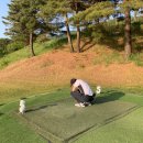 광릉 골프존 | 🏌️‍♀️첫 라운딩, 6월 남양주 한림광릉컨트리클럽 주간 오후타임 후기