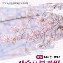 장승포해안로 뉴시스
