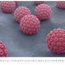 ■ 전 세계 남성 3명 중에 1명은 HPV 성병 바이러스 감염 이미지