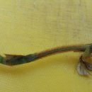 용자농장 이미지