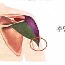 더바른피티 이미지