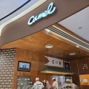 신세계센텀스파이더 | ☕부산 센텀 카페 추천｜카멜커피 센텀시티몰점 커피 + 티라미수 쿠키까지