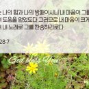 시편28편 잠언31절 요절 성구이미지 꽃사진에 성구한절 이미지