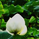 석양풍경 이미지