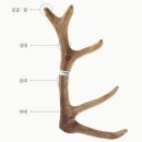 알아주는경희한의원 네이버블로그