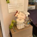 연희도그 | 연남동 근처 실내 애견카페 연희도그 루프탑 운동장 추천