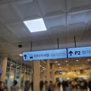 카렌트 | 갑자기 떠난 12월 제주여행 #1 롯데렌트카 렌트 후기