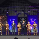 퍼피스타 이미지