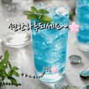 그바다에 가면 이미지