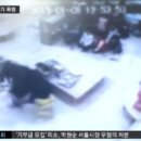 정도어린이집 이미지