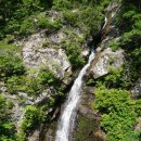 점봉산(남설악산) 117km 이미지