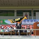 망마경기장 이미지